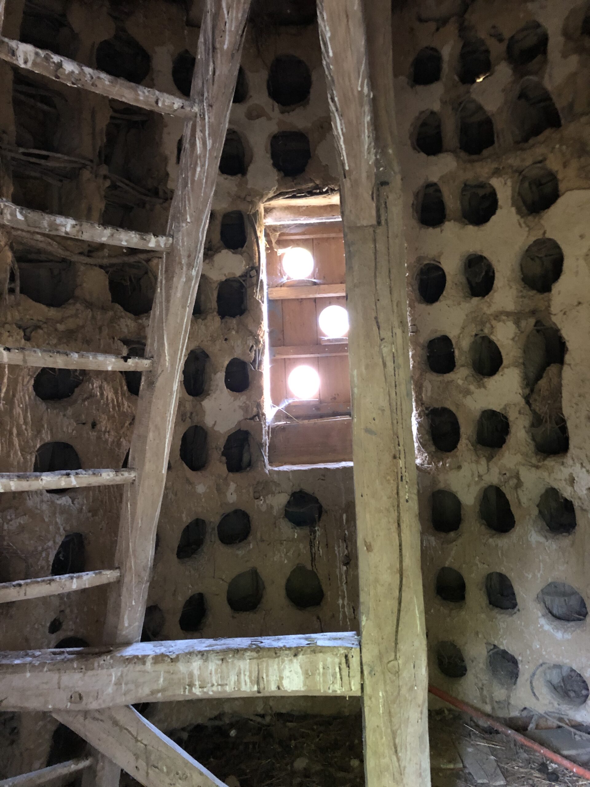 L’intérieur du pigeonnier du XVème siècle